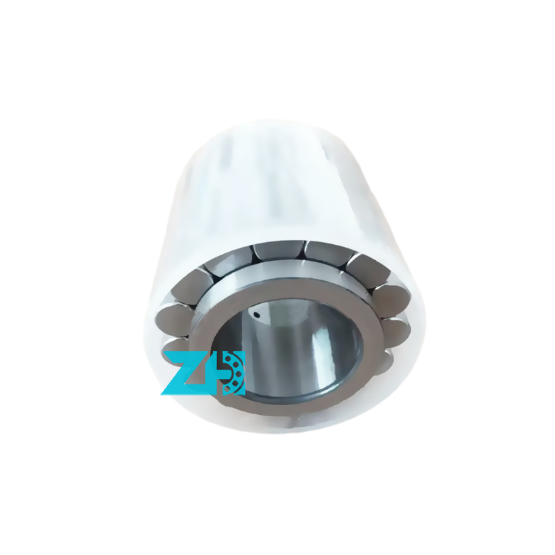 Podwójne rzędowe radialne łożyska cylindryczne F-238900.RNN łożyska cylindryczne F-238900